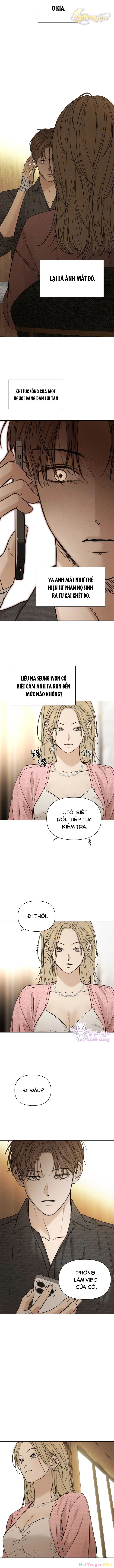 Chỉ Là Ánh Bình Minh chapter 59 - Trang 11