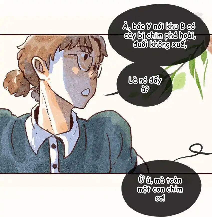 Cô Gái Thân Yêu Của Tôi chapter 1 - Trang 15