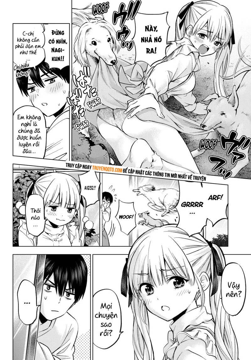 Kakkou No Iinazuke chapter 228 - Trang 8