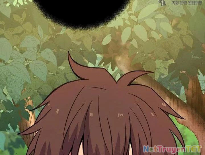 Trở Thành Nhân Viên Cho Các Vị Thần chapter 71 - Trang 62