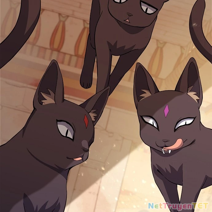 Trở Thành Nhân Viên Cho Các Vị Thần chapter 83 - Trang 29