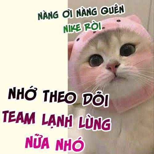 VƯU VẬT chapter 131 - Trang 21