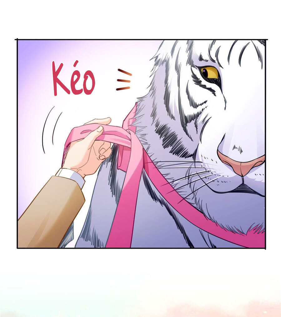 Đúng Như Hàn Quang Gặp Nắng Gắt chapter 207.5 - Trang 16