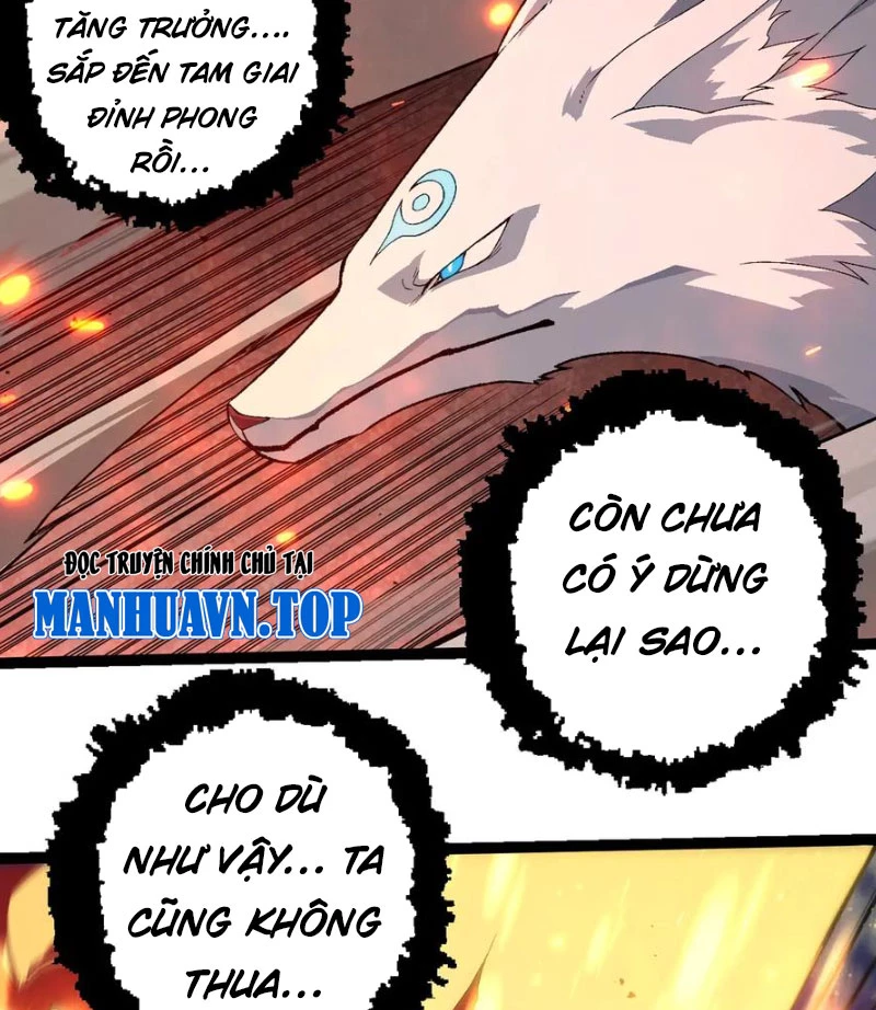 Đúng Như Hàn Quang Gặp Nắng Gắt chapter 505 - Trang 61