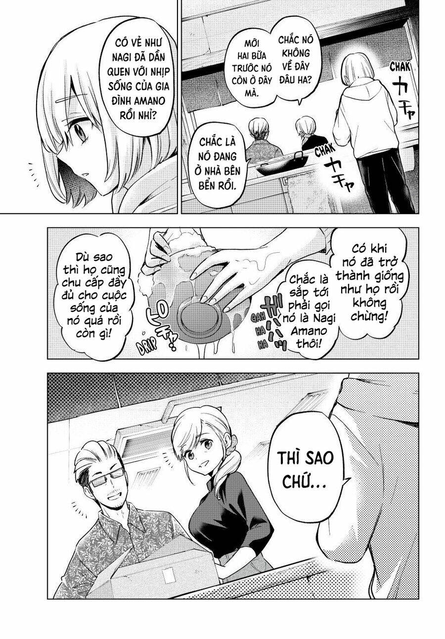 Kakkou No Iinazuke chapter 165 - Trang 14