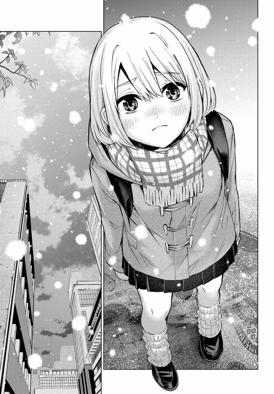 Kakkou No Iinazuke chapter 178 - Trang 8