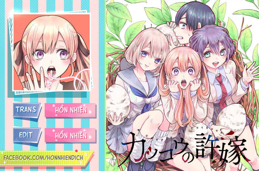 Kakkou No Iinazuke chapter 179 - Trang 1