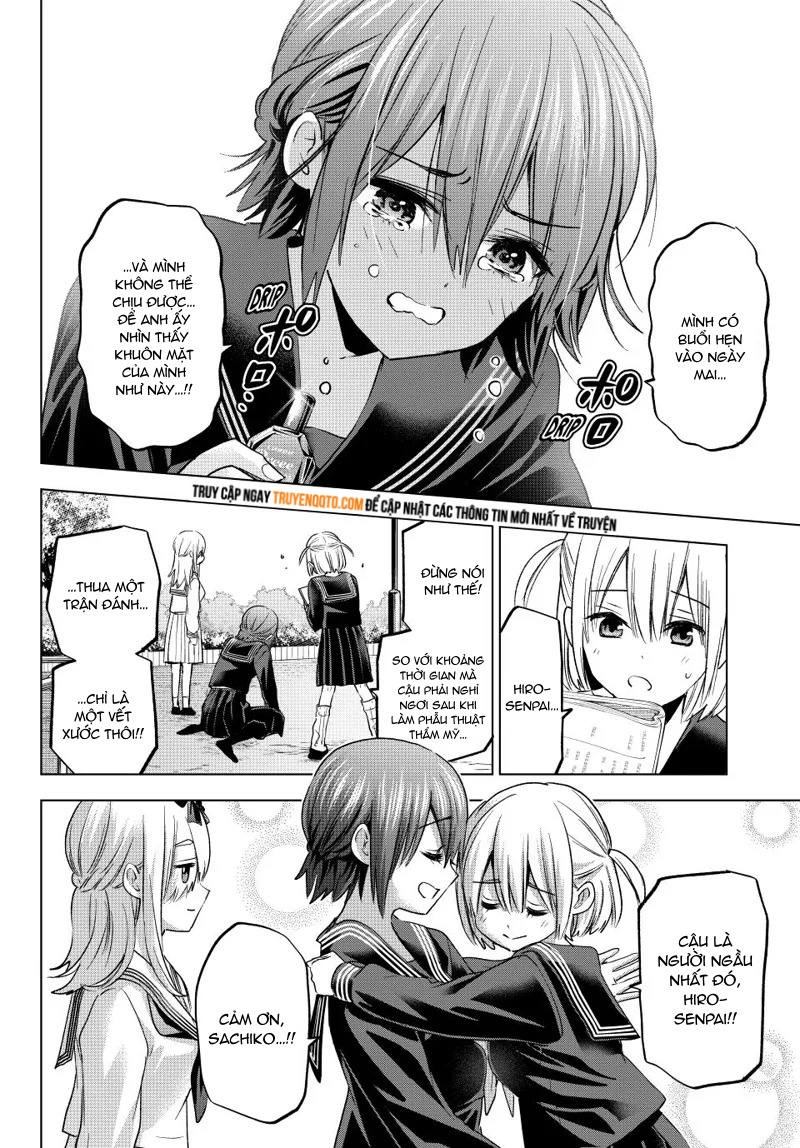 Kakkou No Iinazuke chapter 208 - Trang 17